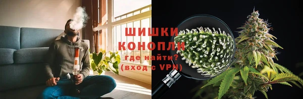 прущие грибы Беломорск