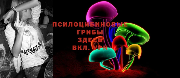 прущие грибы Беломорск