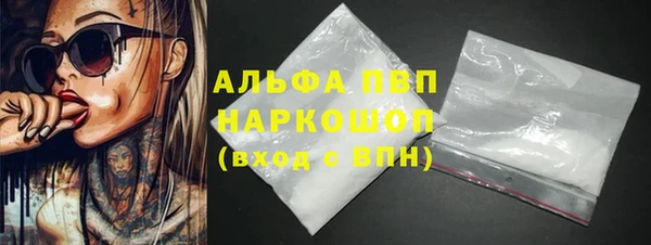 прущие крисы Белокуриха
