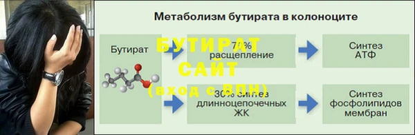 стаф Горняк