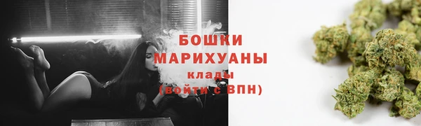 прущие грибы Беломорск