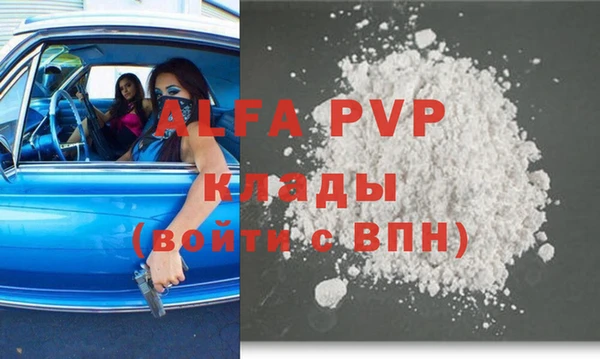 прущие грибы Беломорск
