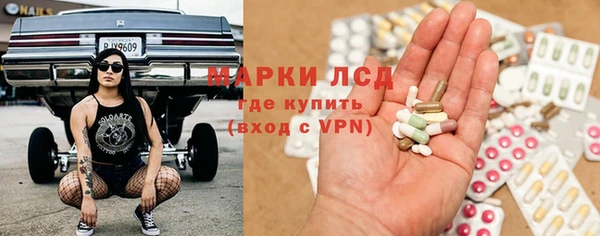 прущие грибы Беломорск