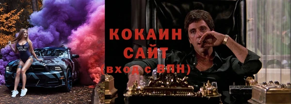 прущие крисы Белокуриха