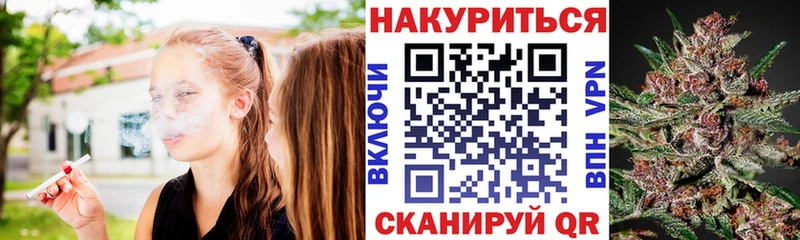 MEGA как войти  shop какой сайт  Шишки марихуана сатива  Болотное 